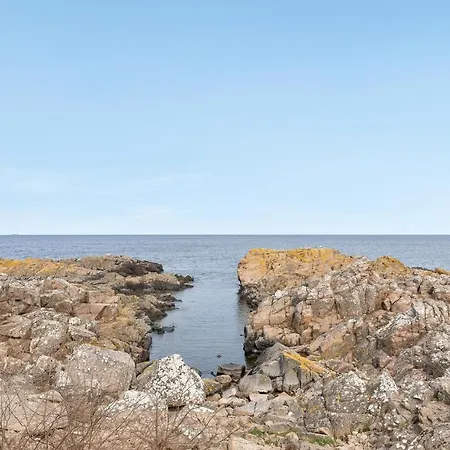 別荘 Gorgeous In With Sauna *