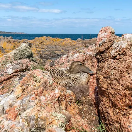 Nyaraló Gorgeous In With Sauna *